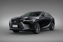 Lexus Rx Color Graphite Black Glass Flake